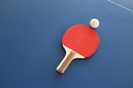 安赛龙个人资料：中国男子乒乓球运动员